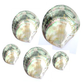 Engraved nacre (x5)